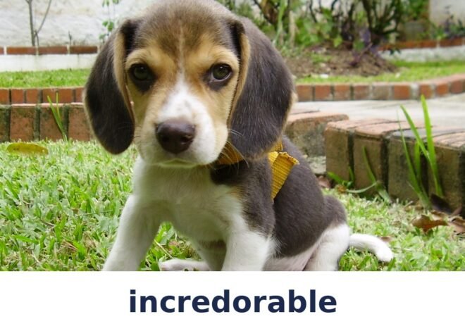 incredorable: The Playful Blend of Incredible and Adorable, Explained