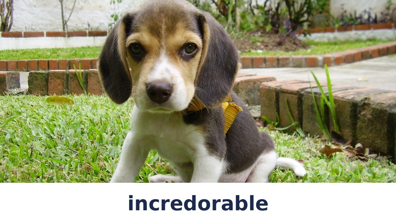 incredorable: The Playful Blend of Incredible and Adorable, Explained
