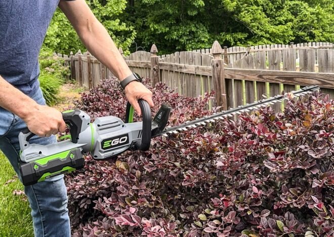Shrub Trimmer Cleanup: Managing Cuttings After Detailed Shrub Work